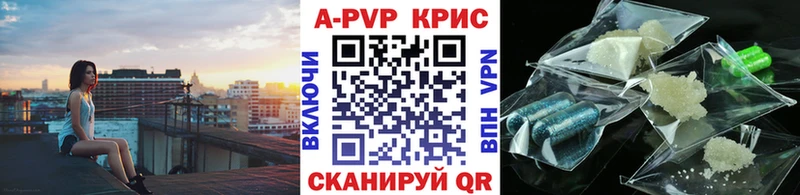 Альфа ПВП СК Курчалой