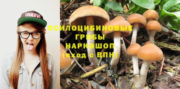 гашиш Новозыбков