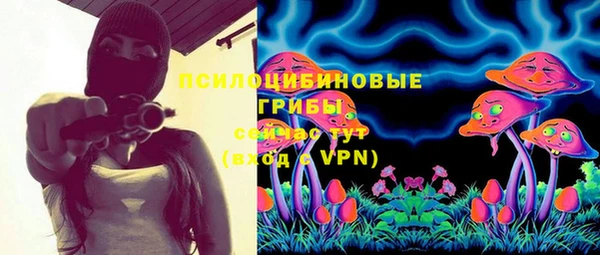 индика Белоозёрский