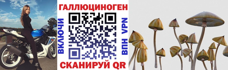 Псилоцибиновые грибы мухоморы  Курчалой 